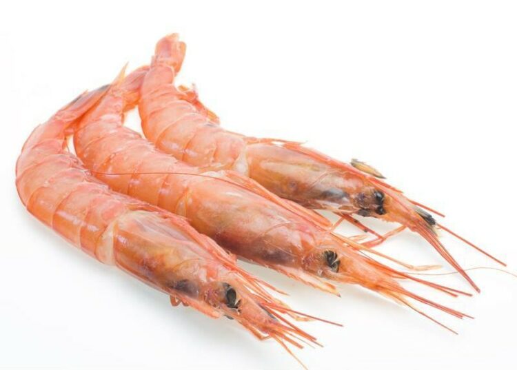 gambas - 11