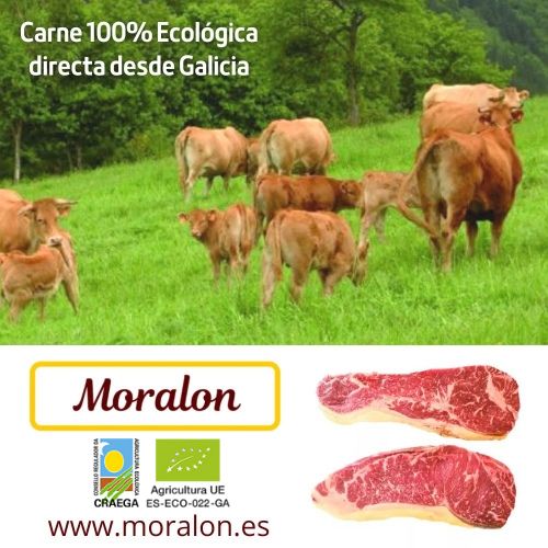 MORALON - La mejor carne ecológica directa desde Galicia